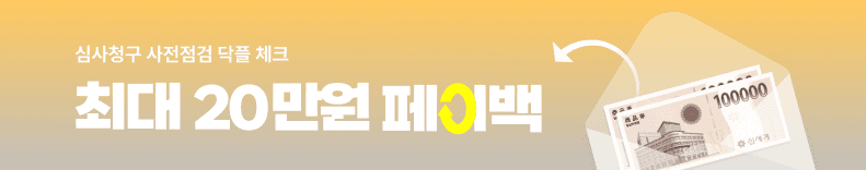 심사청구 사전점검 닥플 체크 - 최대 20만원 페이백